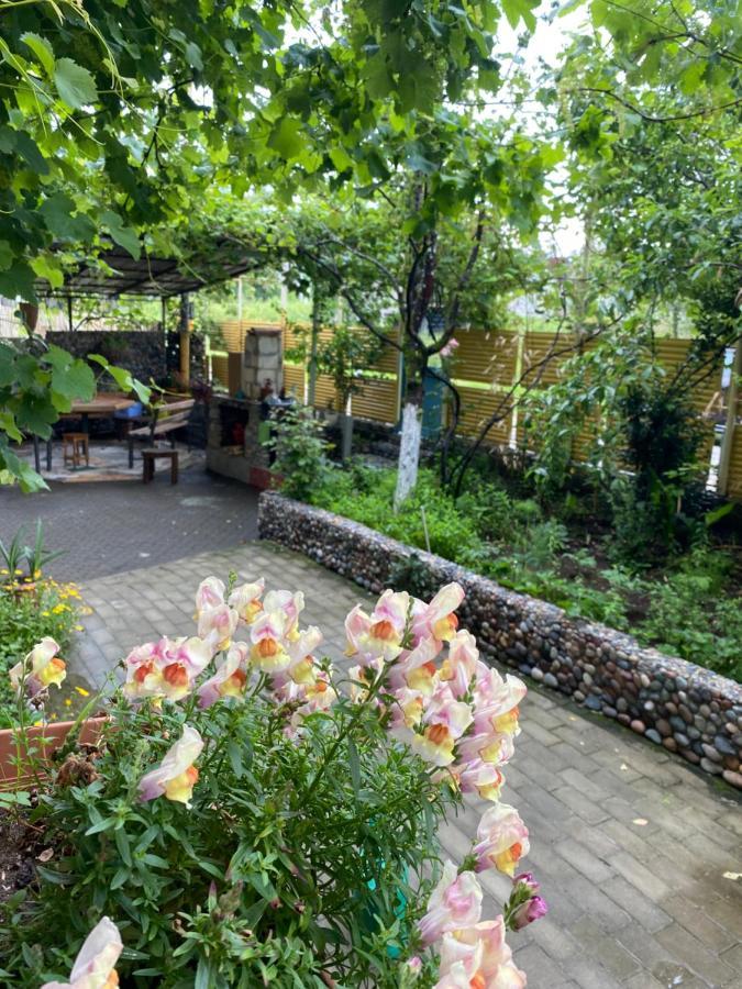 אורקי Guest House Mari מראה חיצוני תמונה