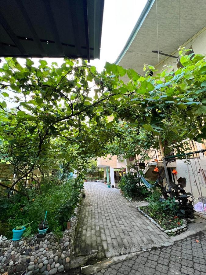 אורקי Guest House Mari מראה חיצוני תמונה
